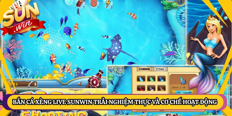 Bắn Cá Xèng Live Sunwin Trải Nghiệm Thực Và Cơ Chế Hoạt Động