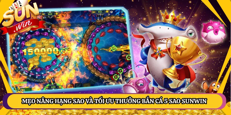 Mẹo Nâng Hạng Sao Và Tối Ưu Thưởng Bắn Cá 5 Sao Sunwin
