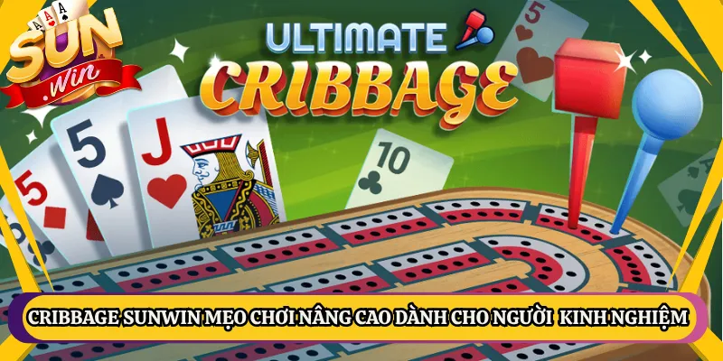 Cribbage Sunwin Mẹo Chơi Nâng Cao Dành Cho Người Kinh Nghiệm