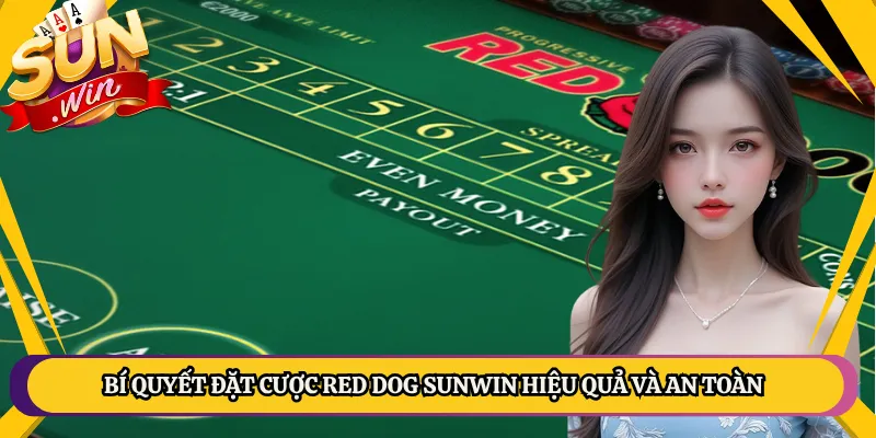 Bí Quyết Đặt Cược Red Dog Sunwin Hiệu Quả Và An Toàn